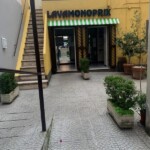 Lavamonoprix 1