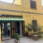 Lavamonoprix 1